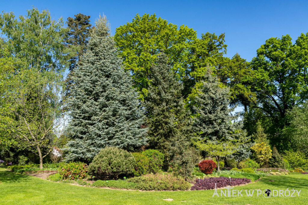 Arboretum Wojsławice