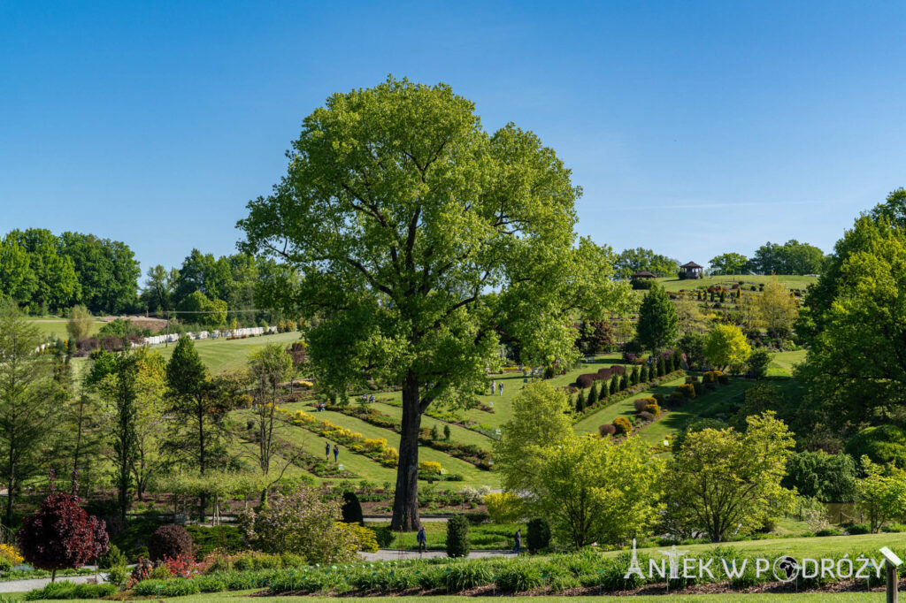 Arboretum Wojsławice