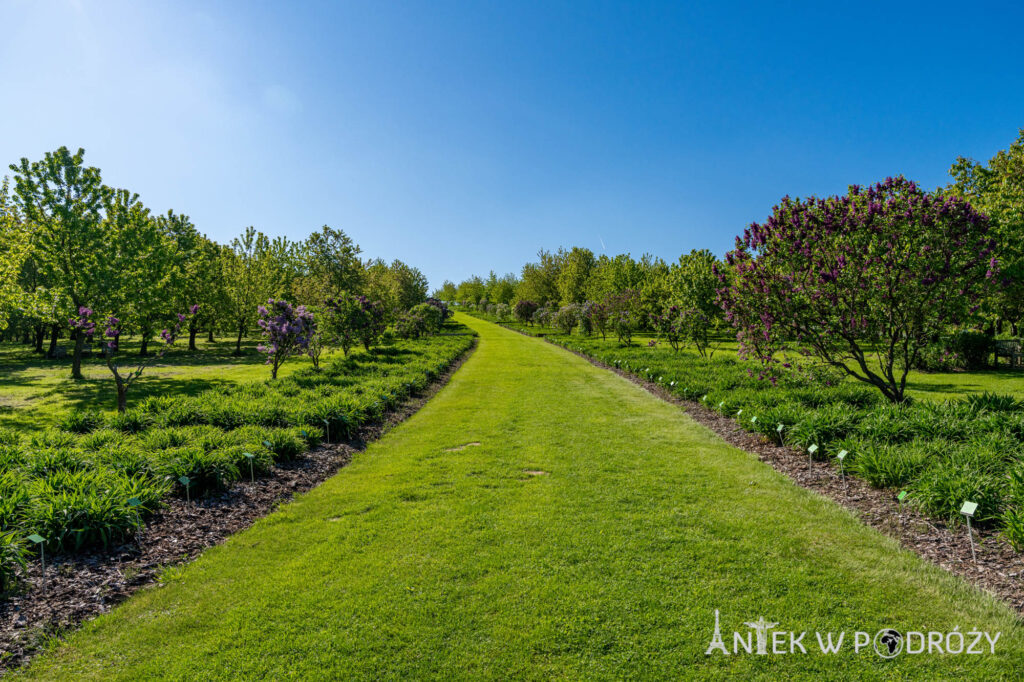 Arboretum Wojsławice