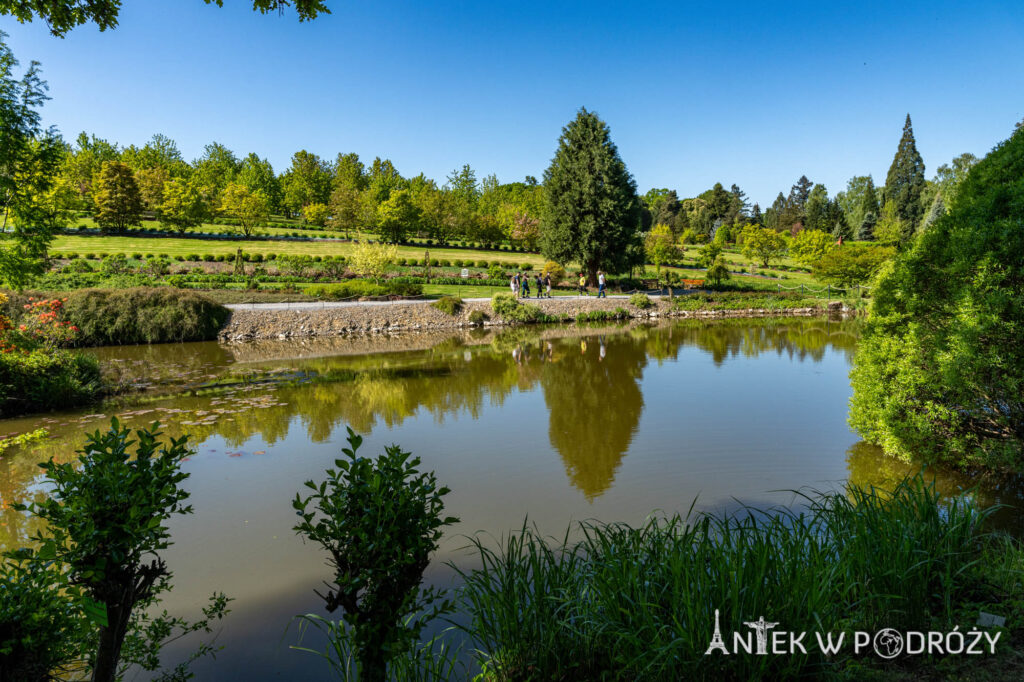 Arboretum Wojsławice