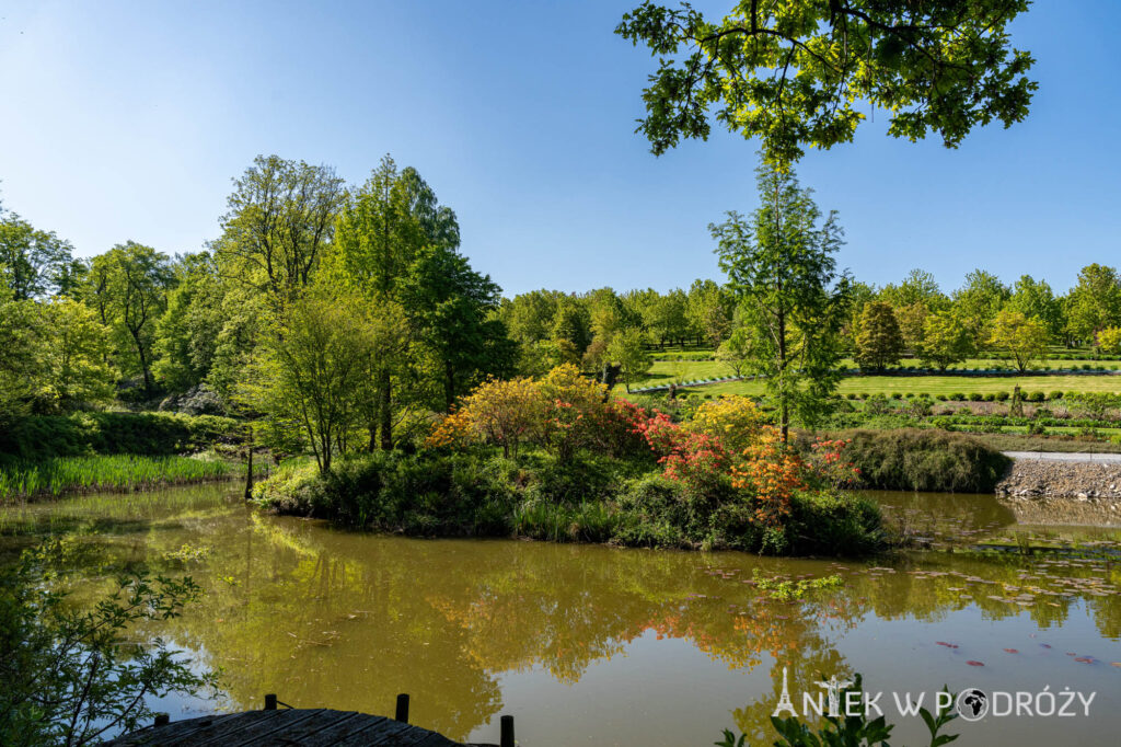 Arboretum Wojsławice