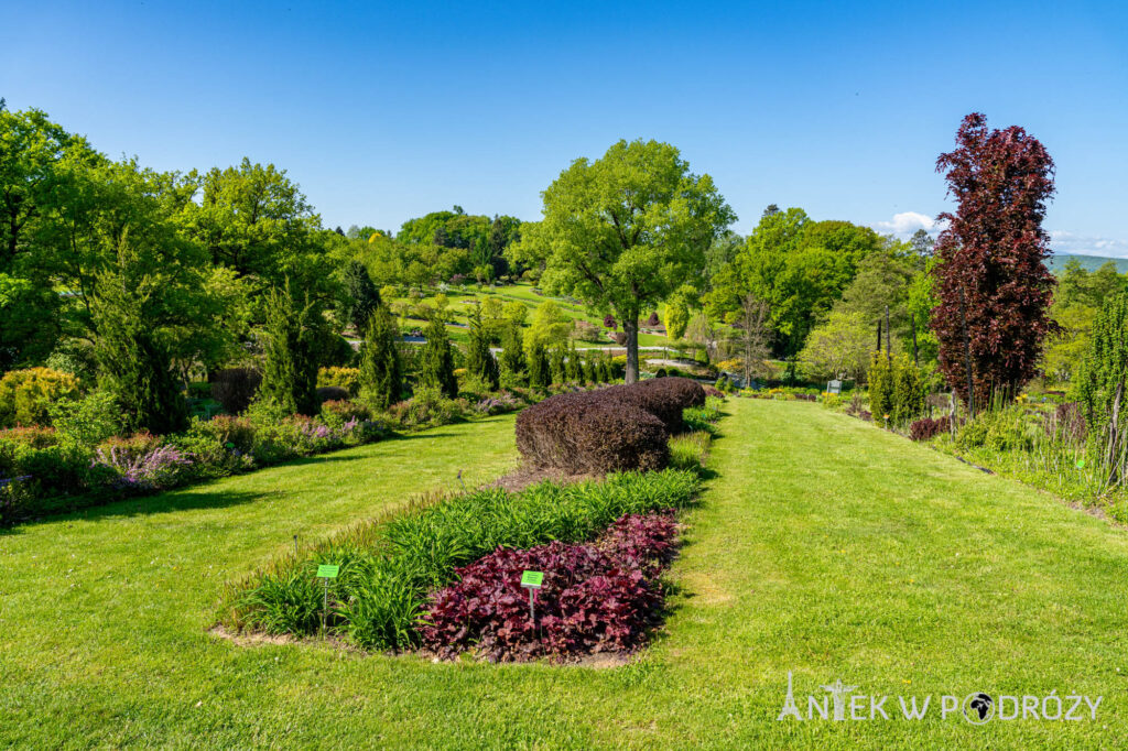 Arboretum Wojsławice