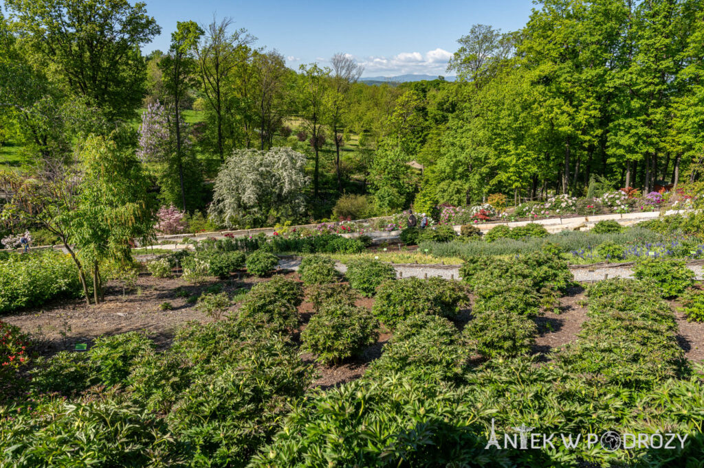 Arboretum Wojsławice