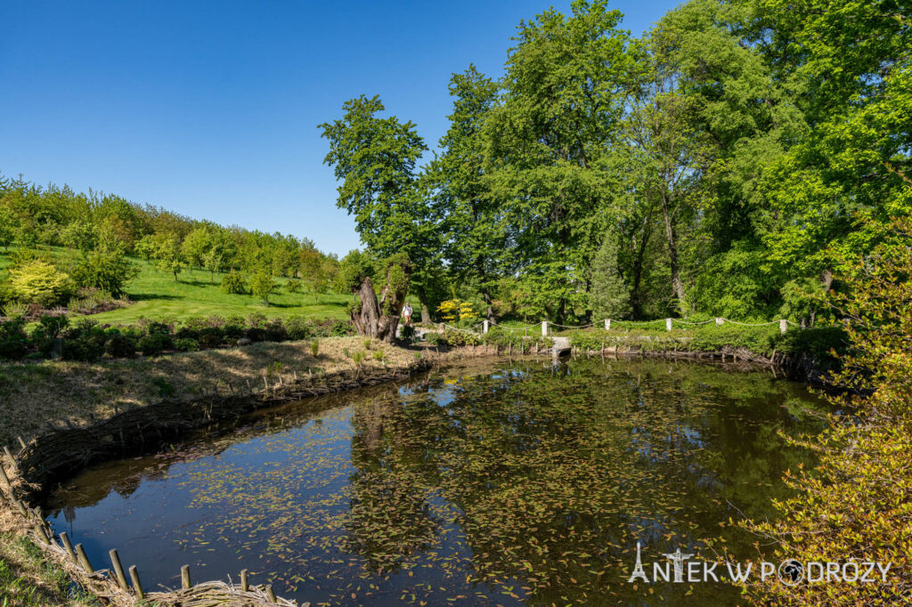 Arboretum Wojsławice