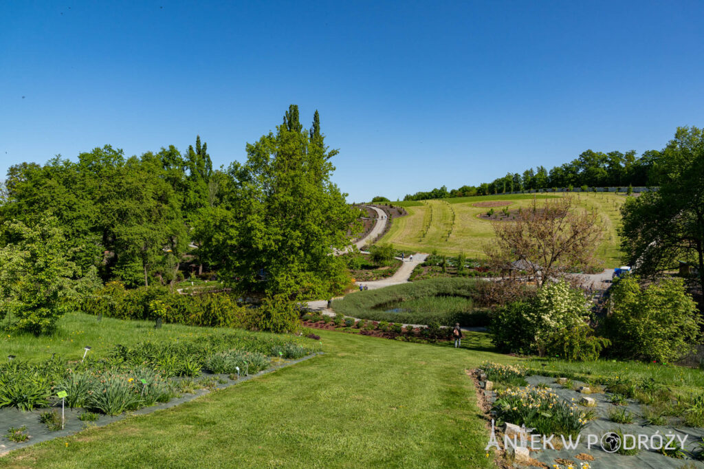 Arboretum Wojsławice