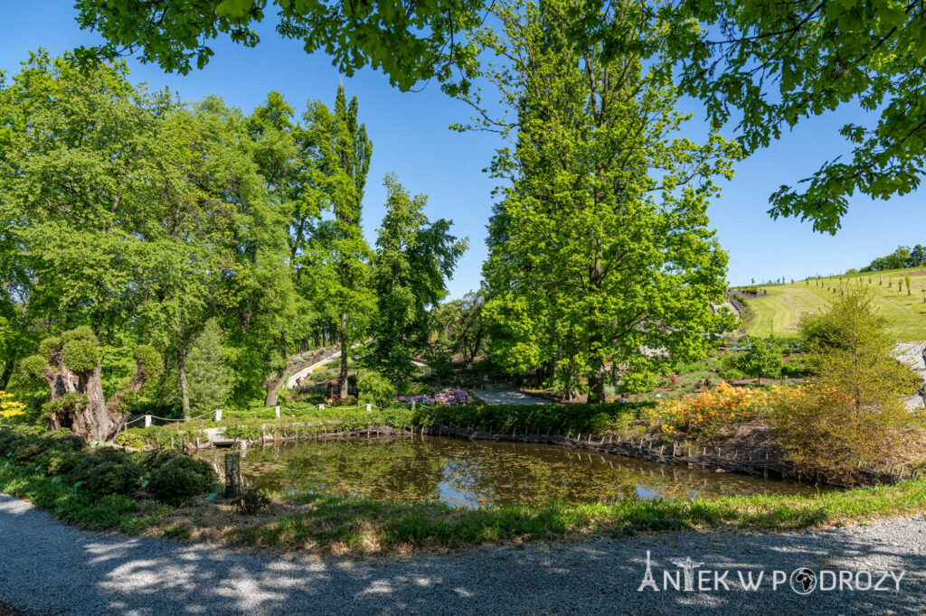 Arboretum Wojsławice