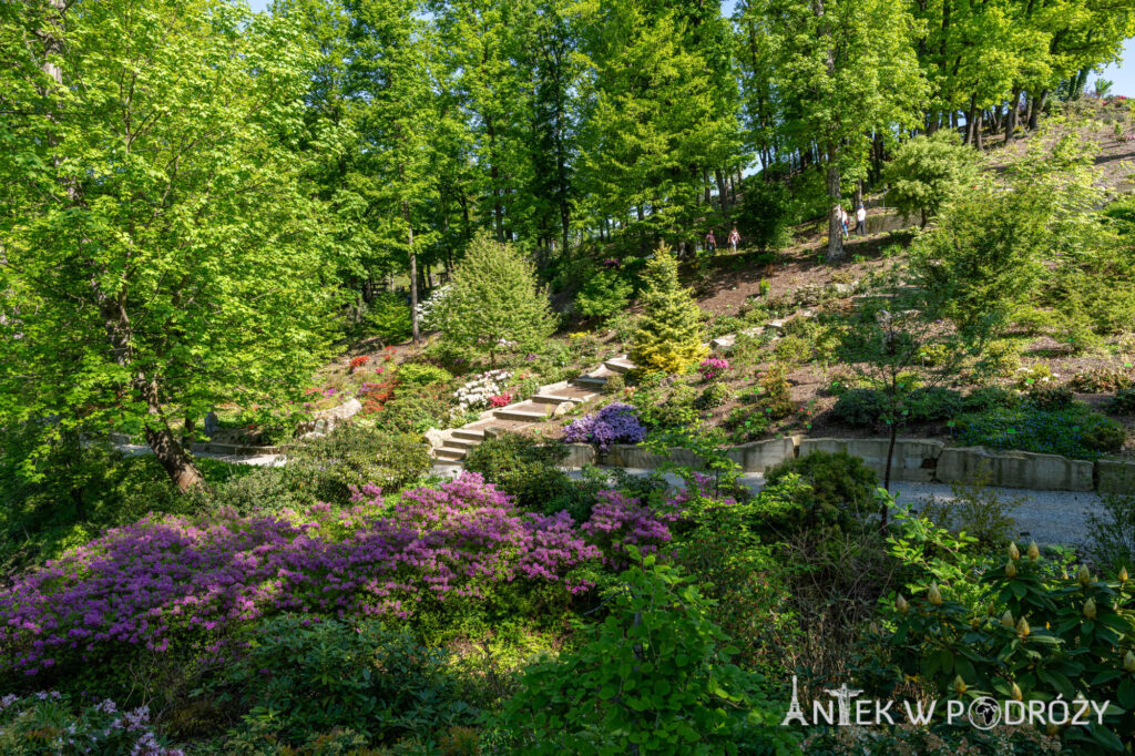 Arboretum Wojsławice