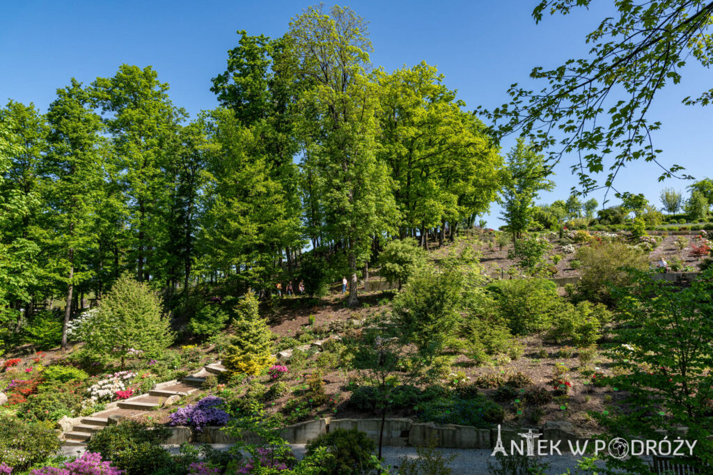 Arboretum Wojsławice