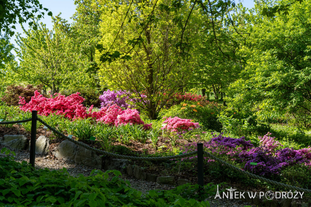 Arboretum Wojsławice