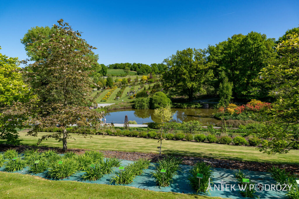Arboretum Wojsławice