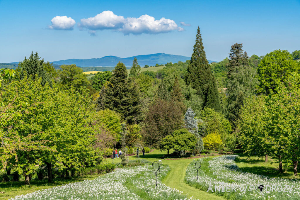 Arboretum Wojsławice