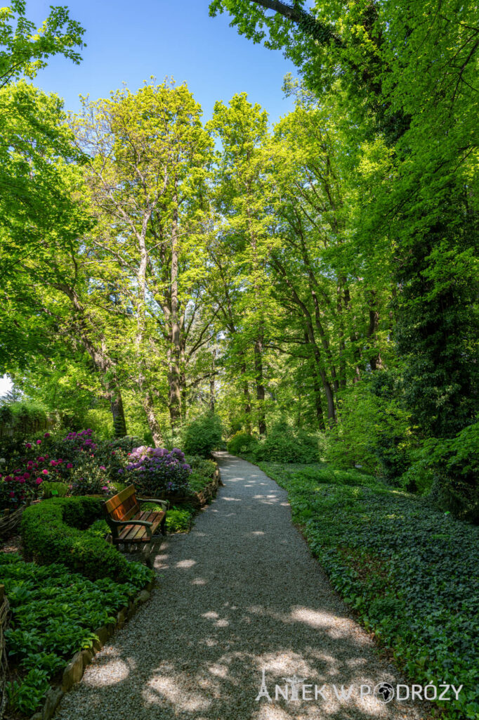 Arboretum Wojsławice