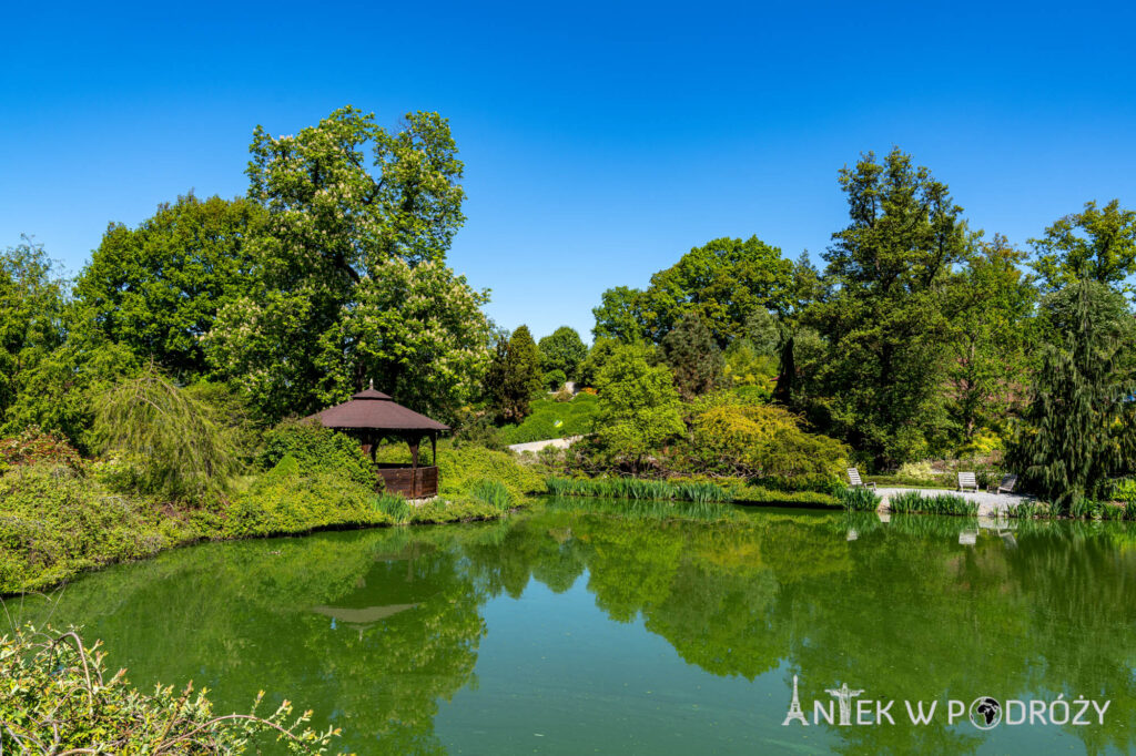 Arboretum Wojsławice