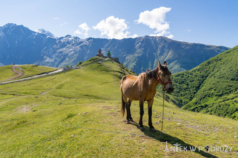 Gruzja