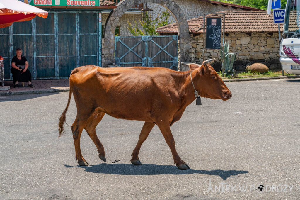 Jaskinia Prometeusza