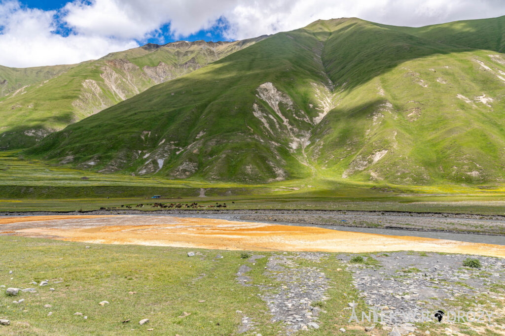 Gruzja