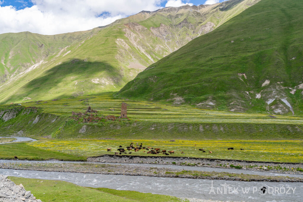 Gruzja