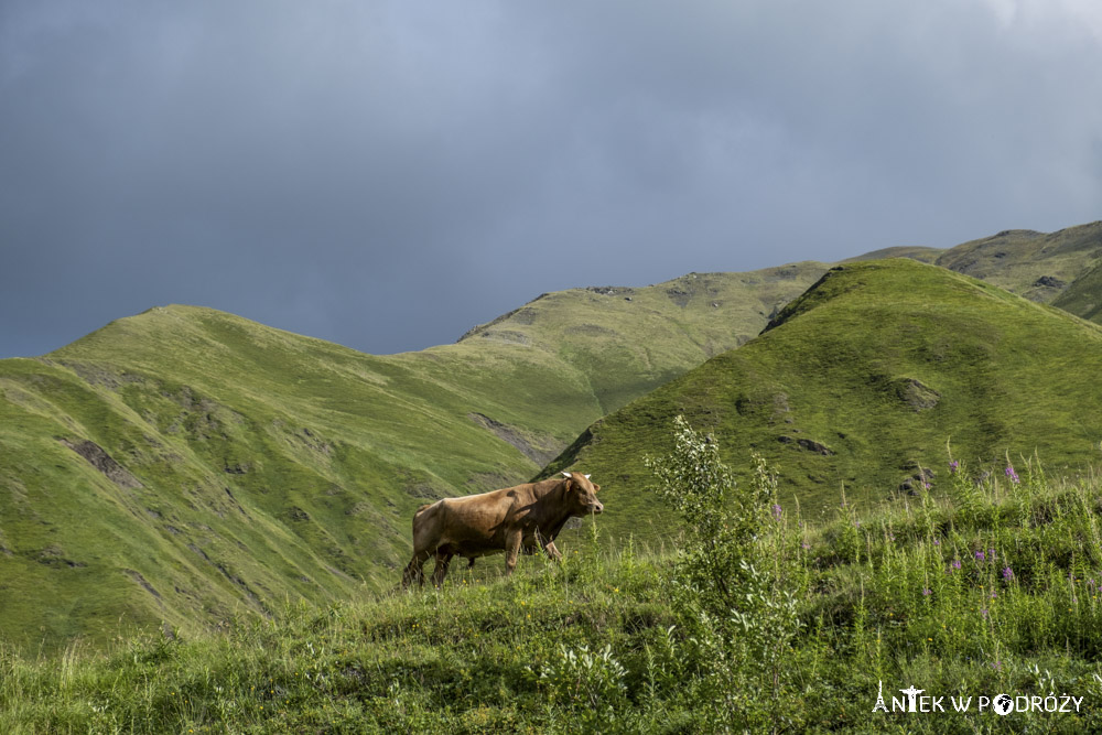 Stepancminda (Gruzja)