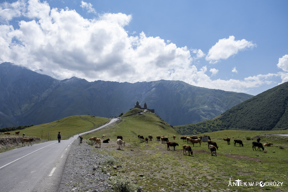 Stepancminda (Gruzja)