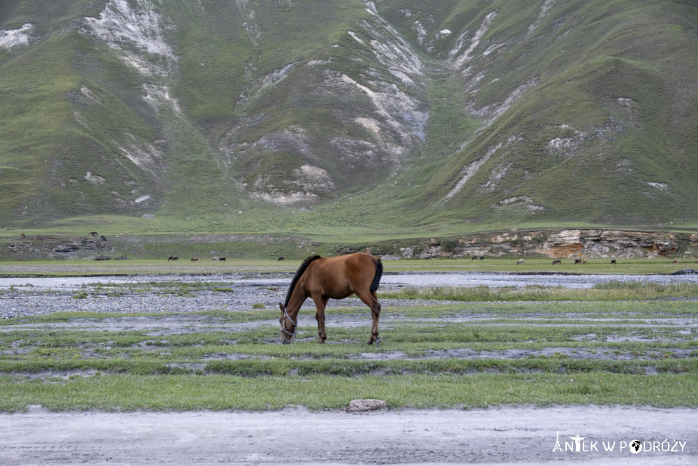 Stepancminda (Gruzja)