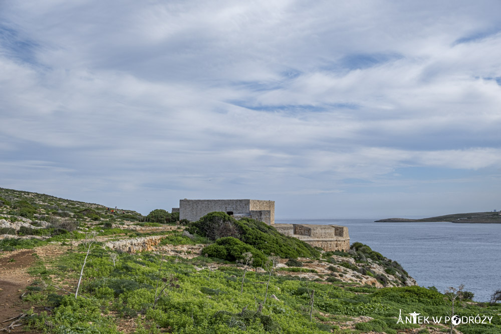 Comino (Malta)