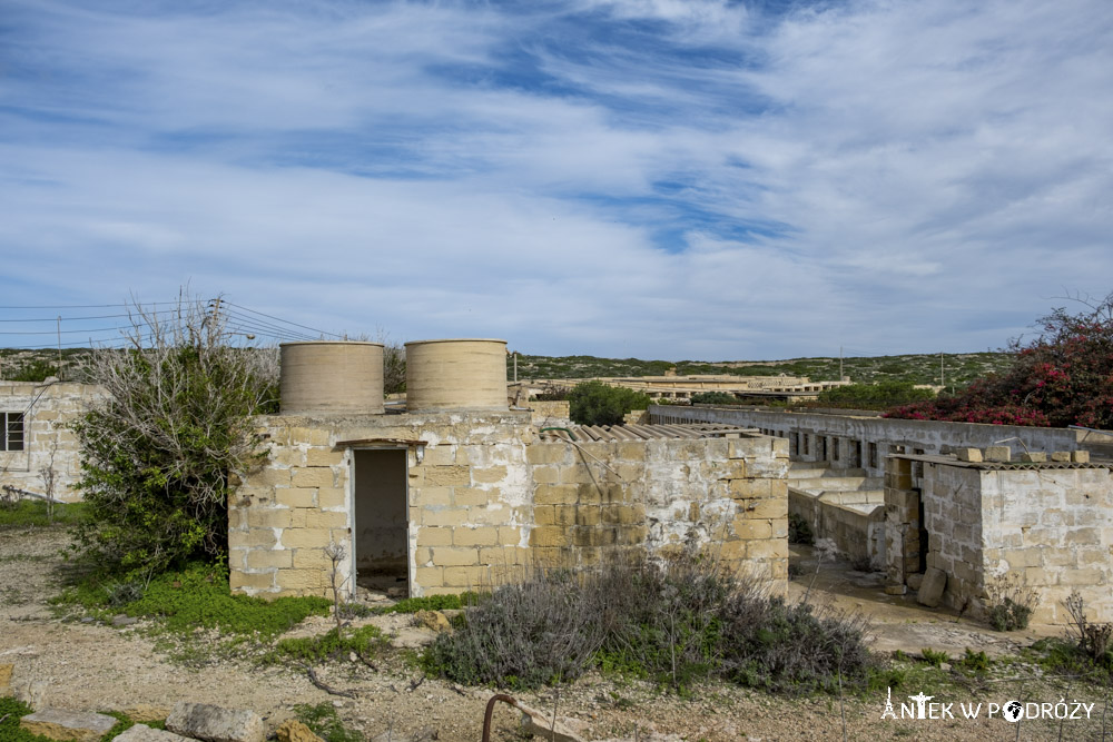 Comino (Malta)