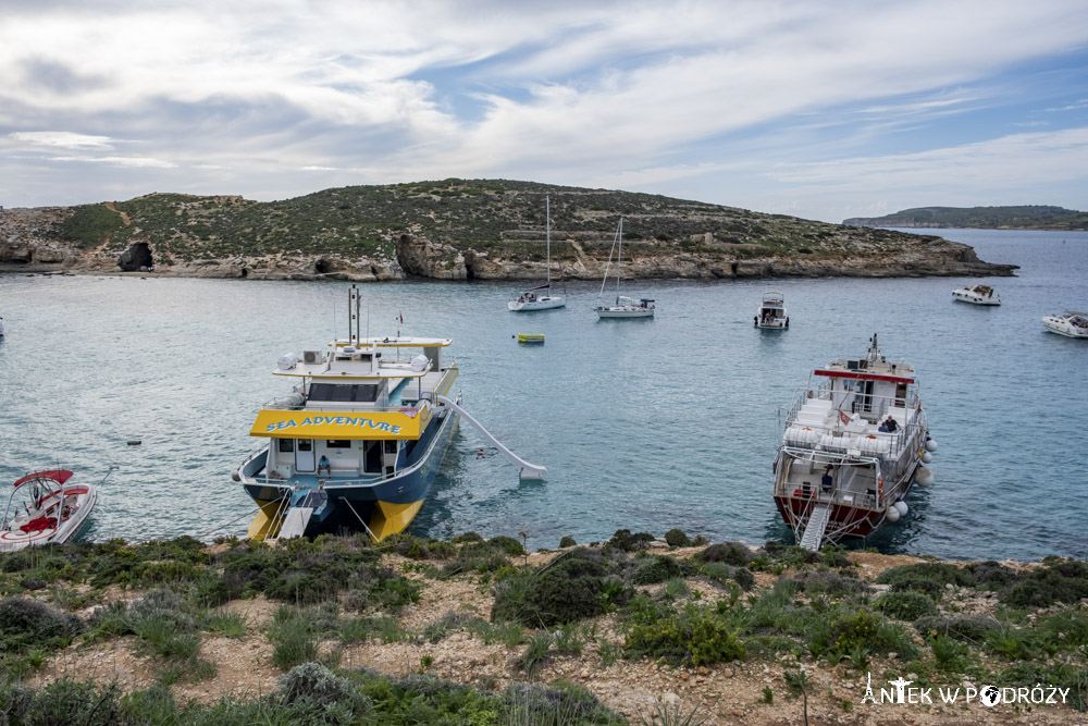 Comino (Malta)