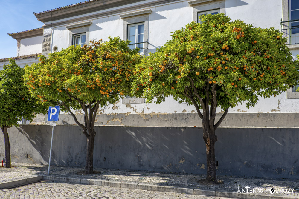 Algarve (Portugalia)