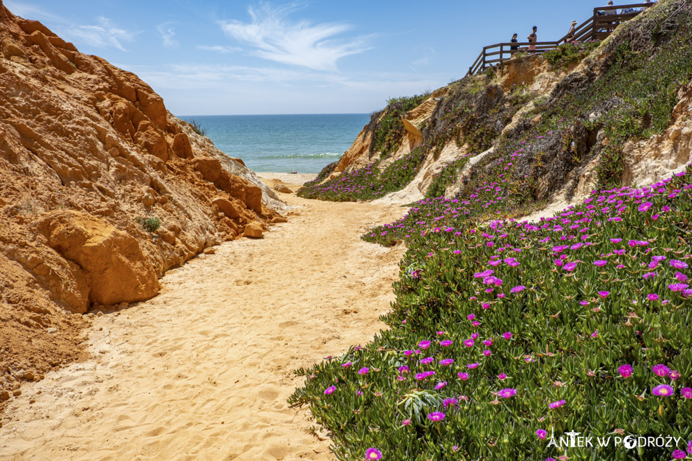 Algarve (Portugalia)