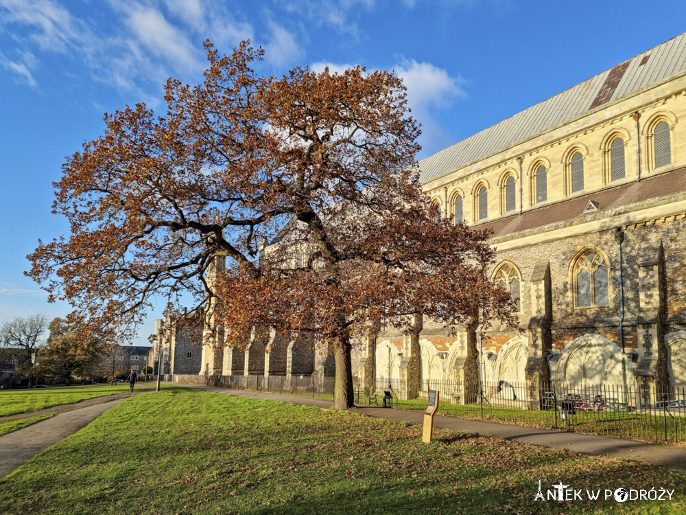 St Albans (Wielka Brytania)