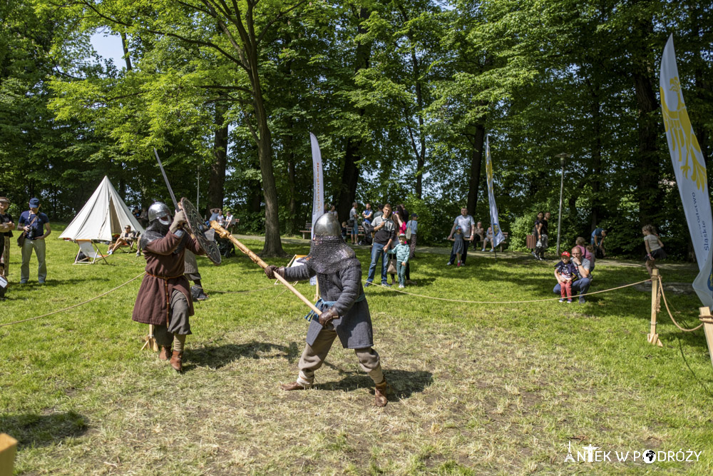 Festiwal Dziewięćsił