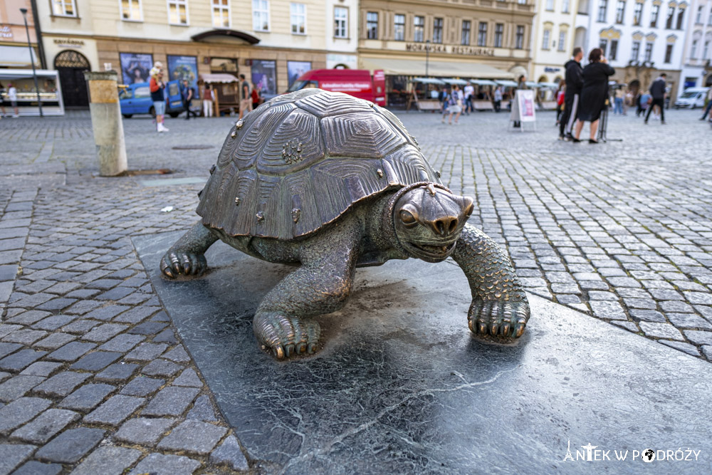 Ołomuniec