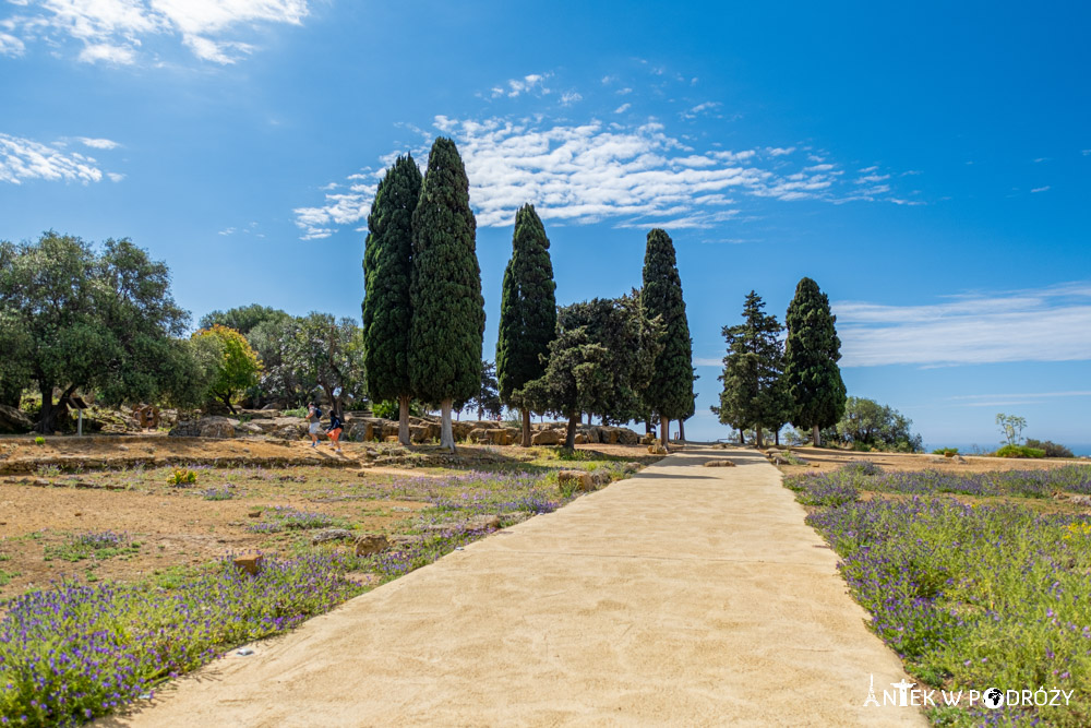 Dolina Świątyń (Valle dei Templi) w Agrigento