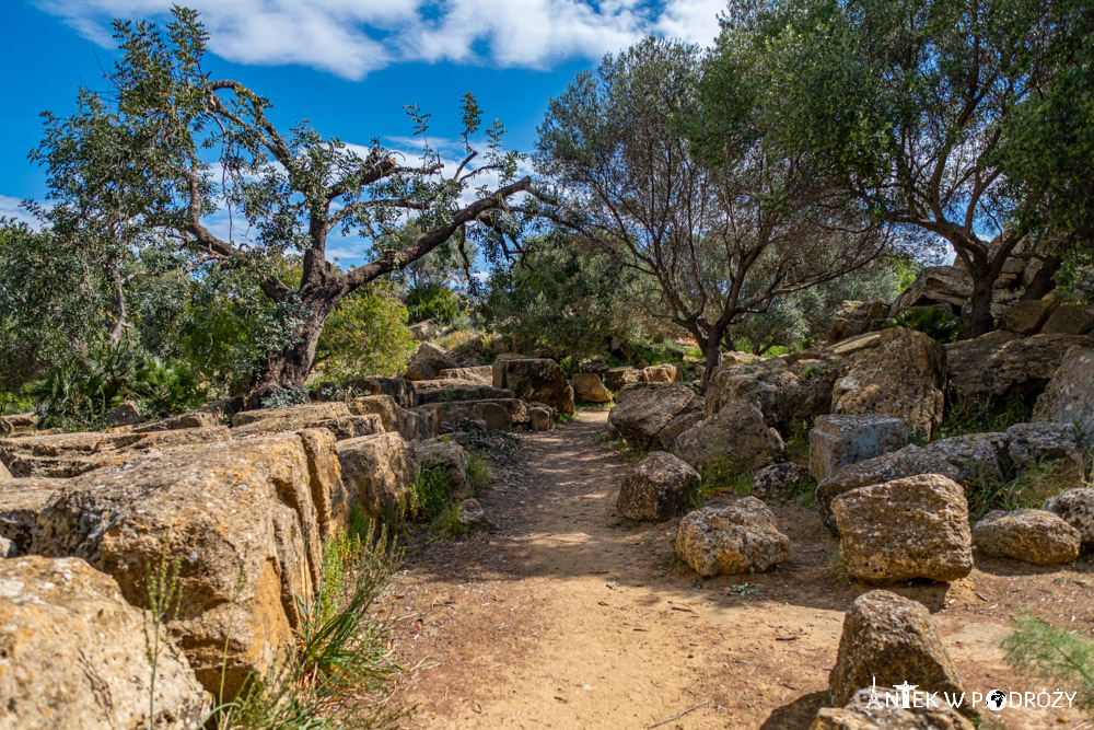 Dolina Świątyń (Valle dei Templi) w Agrigento