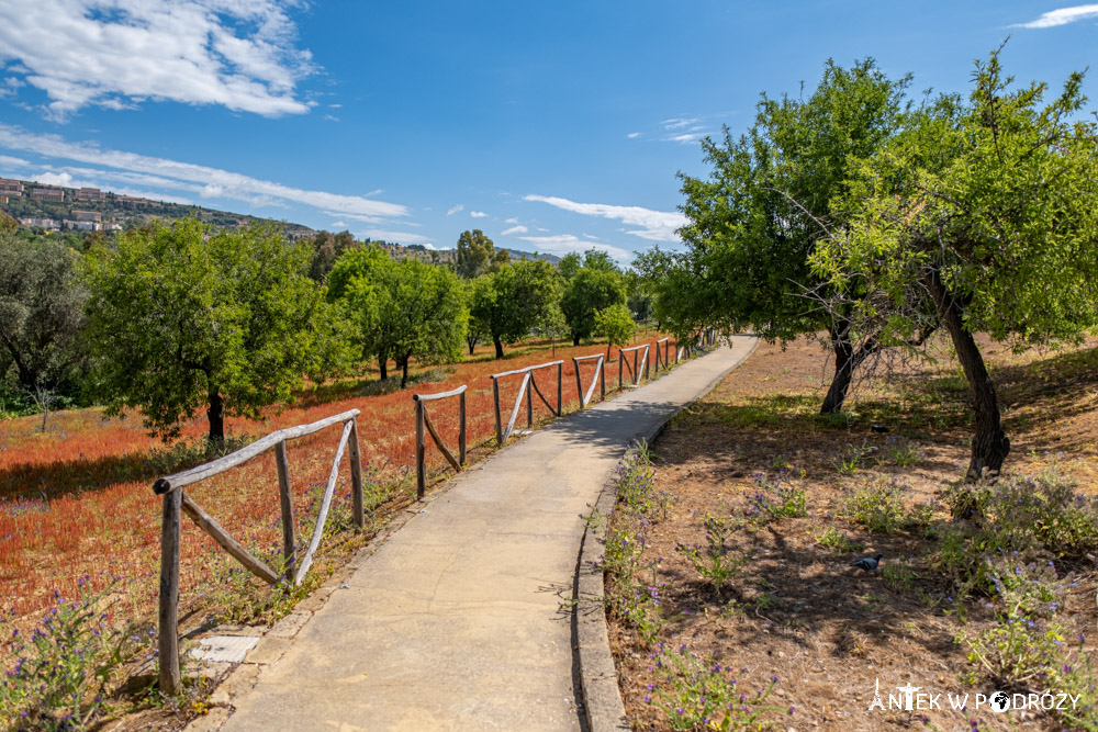 Dolina Świątyń (Valle dei Templi) w Agrigento