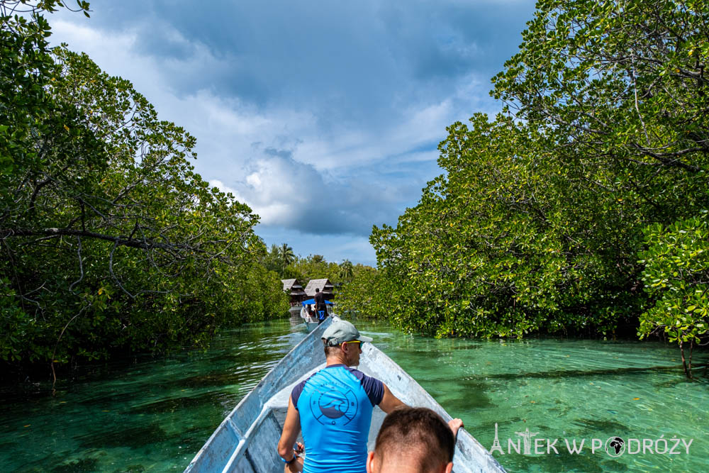 Gam (Raja Ampat)