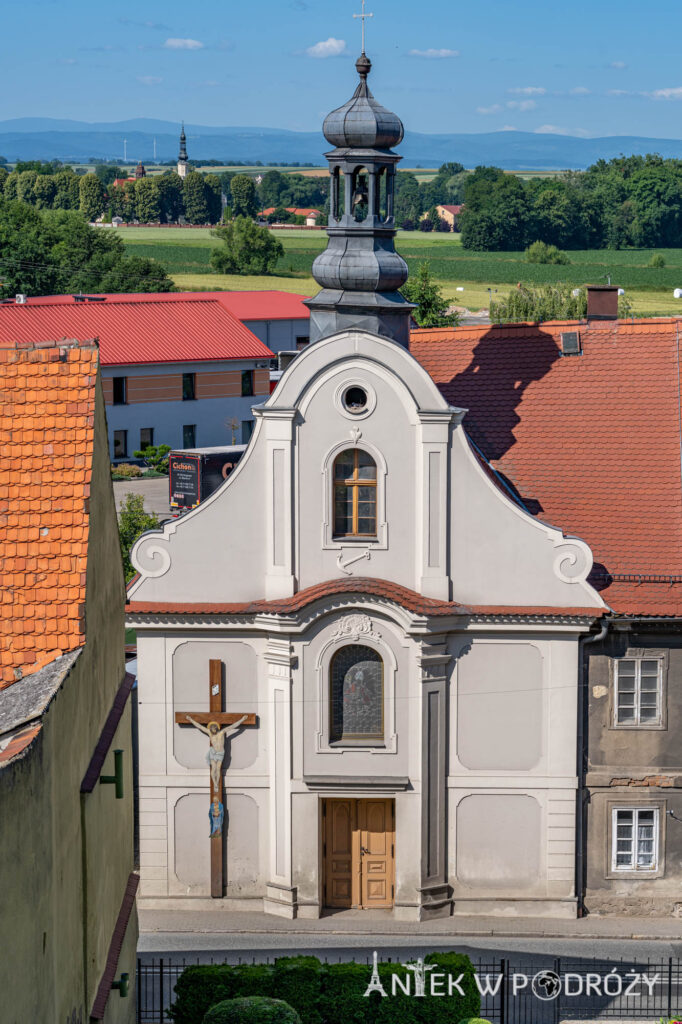 Głogówek (opolskie)