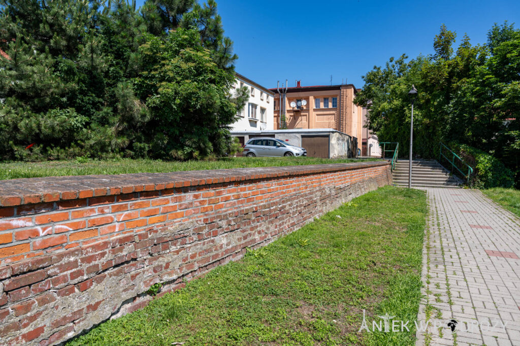 Głogówek (opolskie)