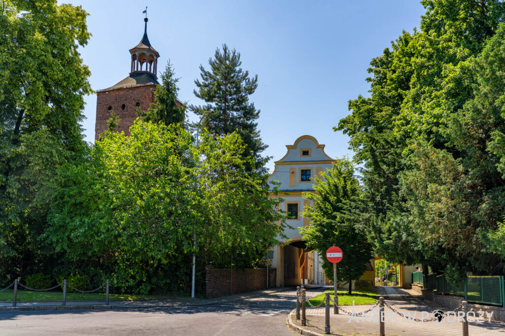 Głogówek (opolskie)