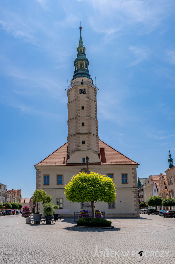 Głogówek (opolskie)