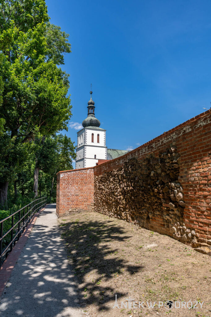 Głogówek (opolskie)