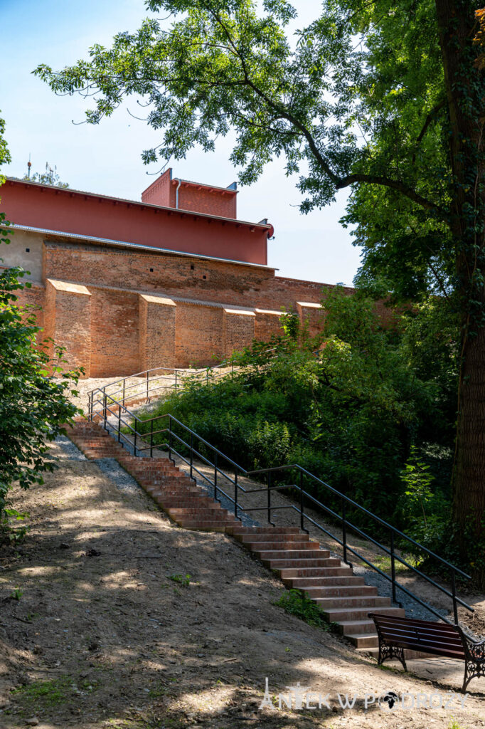 Głogówek (opolskie)