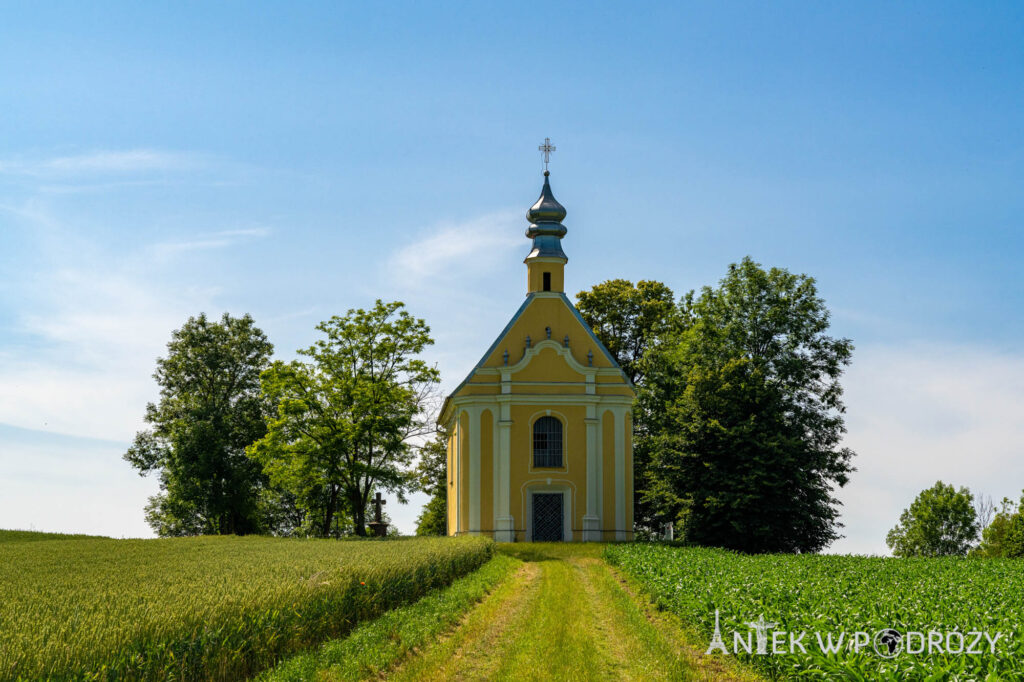 Głogówek (opolskie)