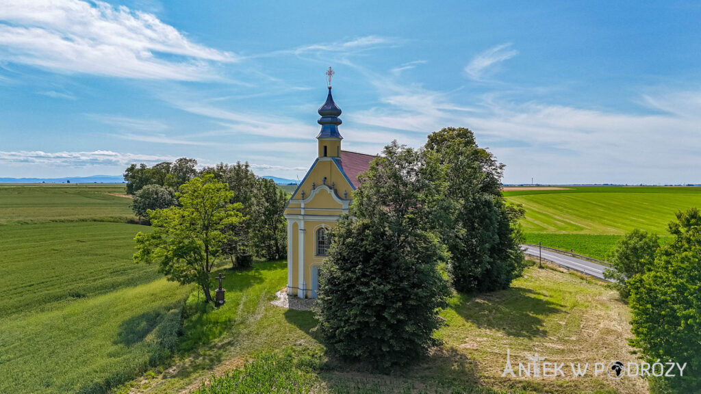 Głogówek (opolskie)
