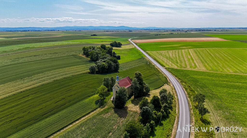 Głogówek (opolskie)