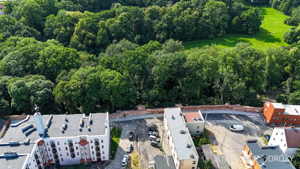 Głogówek (opolskie)