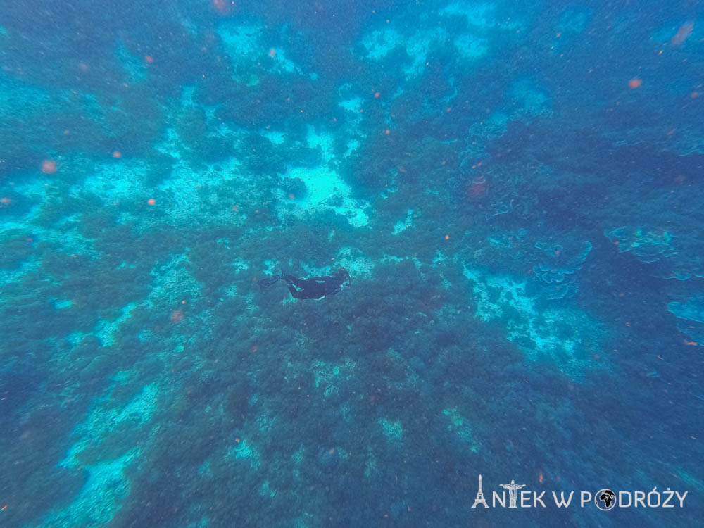 Arborek (Raja Ampat)