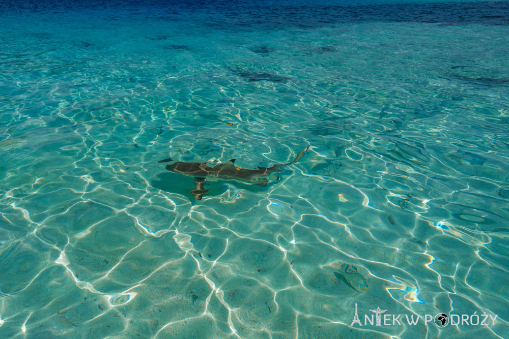 Wayag (Raja Ampat)