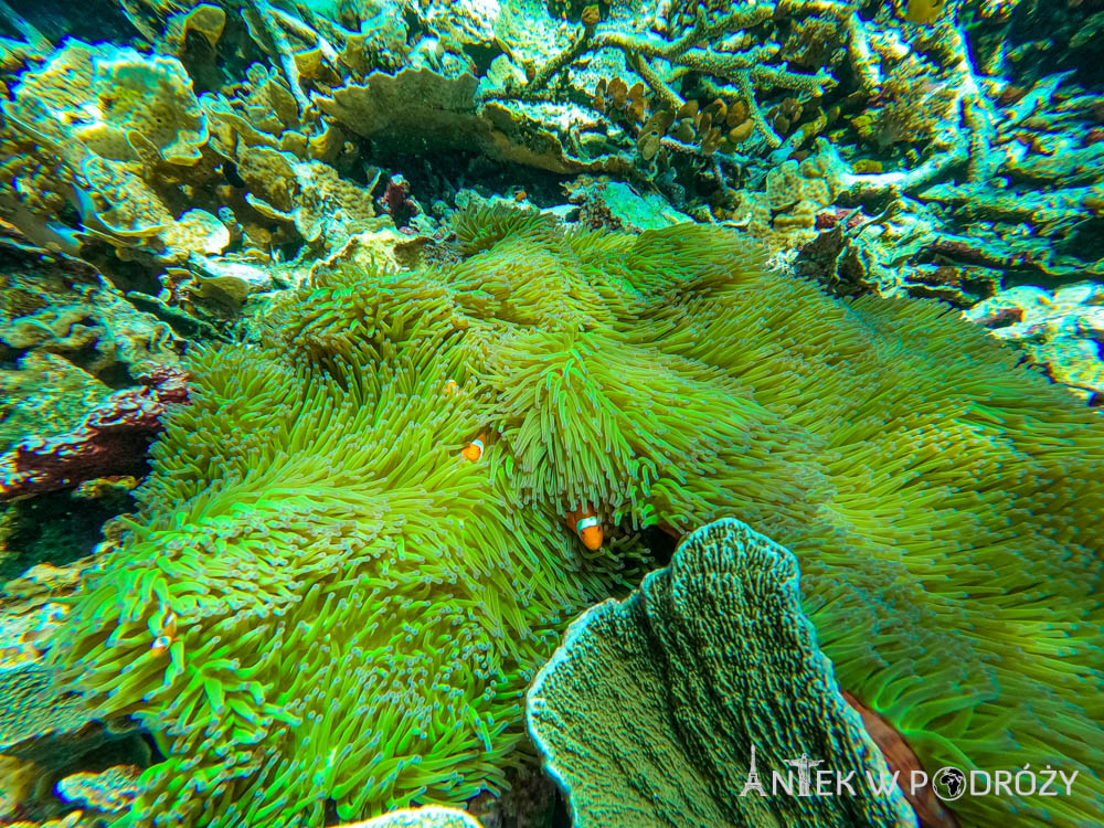 Piaynemo, Rufas (Raja Ampat)