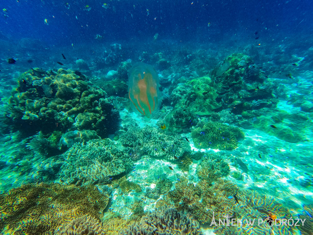 Piaynemo, Rufas (Raja Ampat)